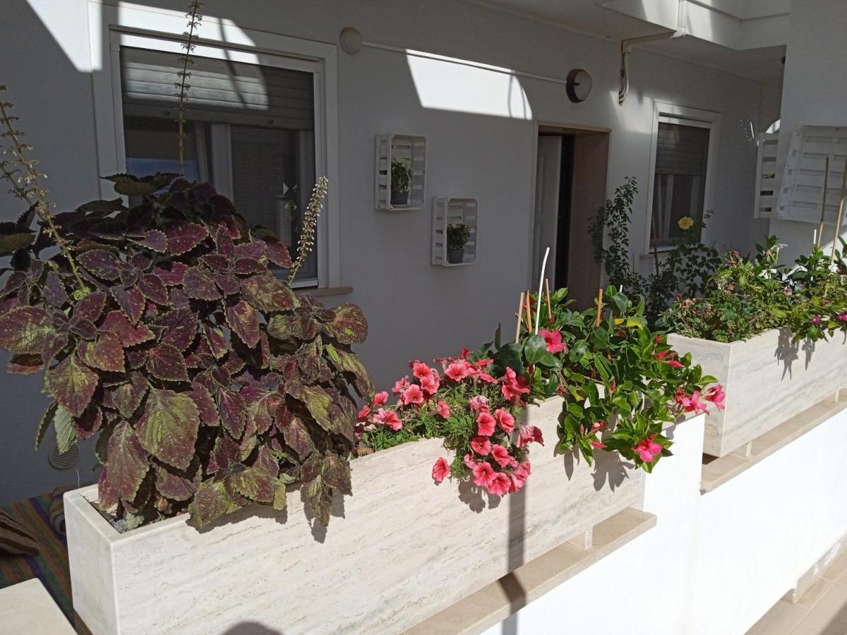 La Casa Di Elena Lägenhet Sannicandro di Bari Exteriör bild